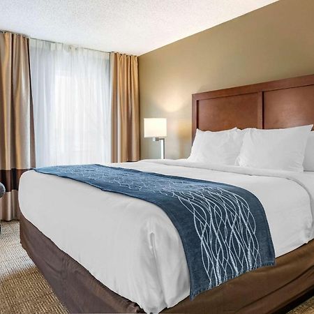 Comfort Inn & Suites Dimondale - Lansing Bagian luar foto