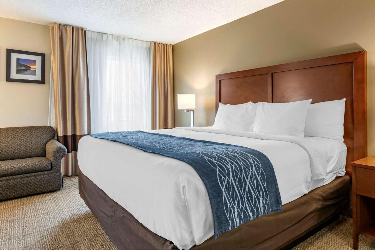 Comfort Inn & Suites Dimondale - Lansing Bagian luar foto