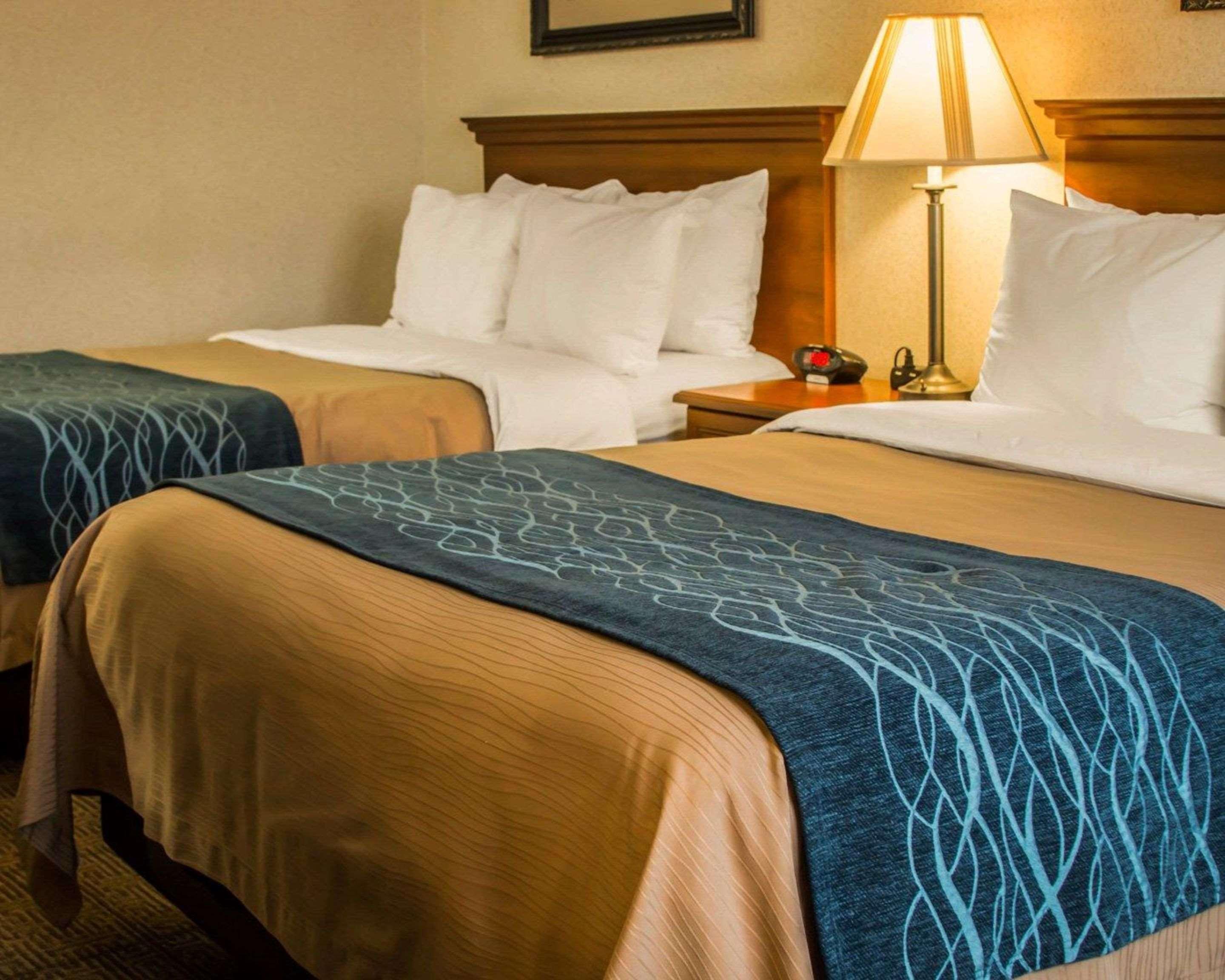 Comfort Inn & Suites Dimondale - Lansing Bagian luar foto