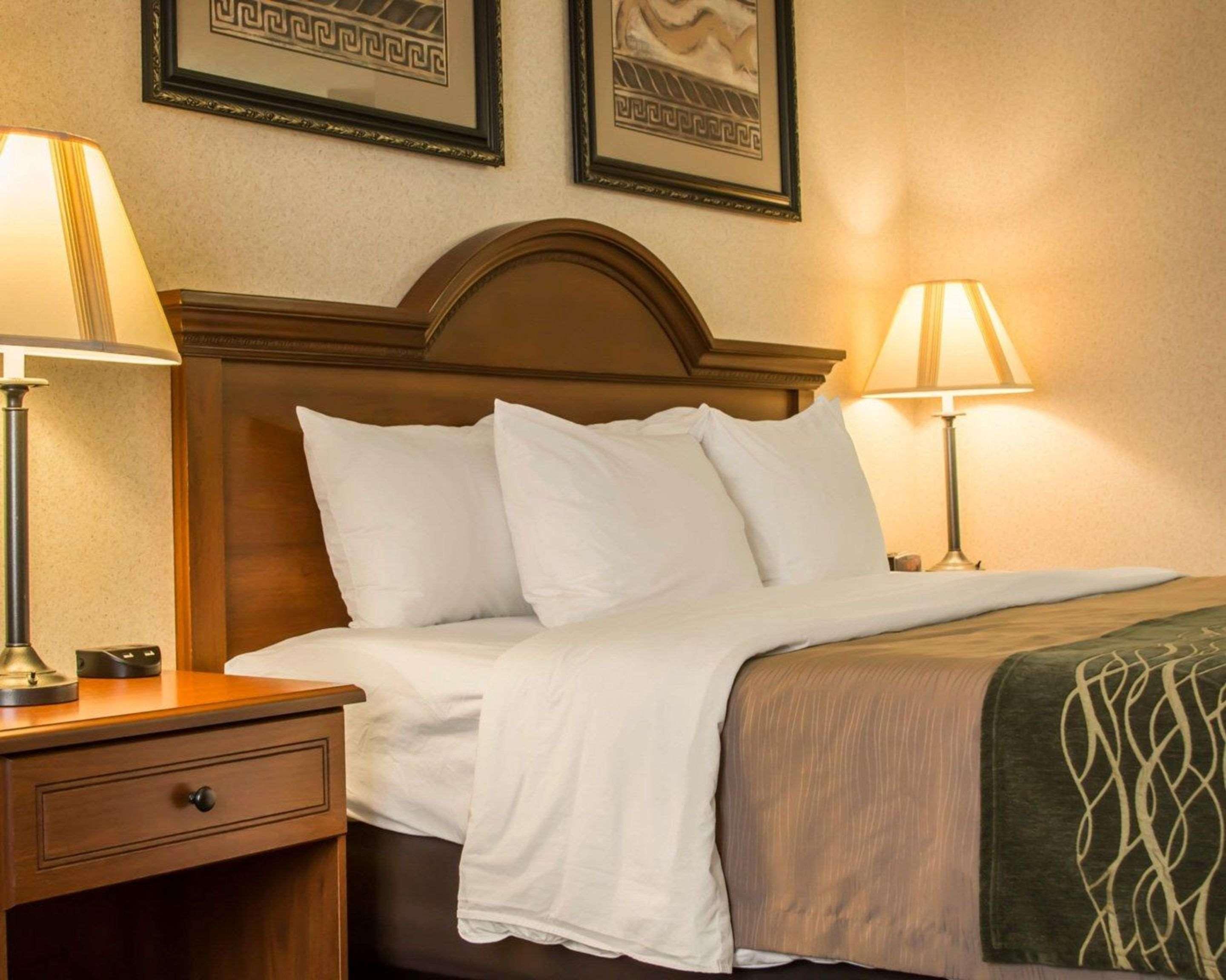 Comfort Inn & Suites Dimondale - Lansing Bagian luar foto