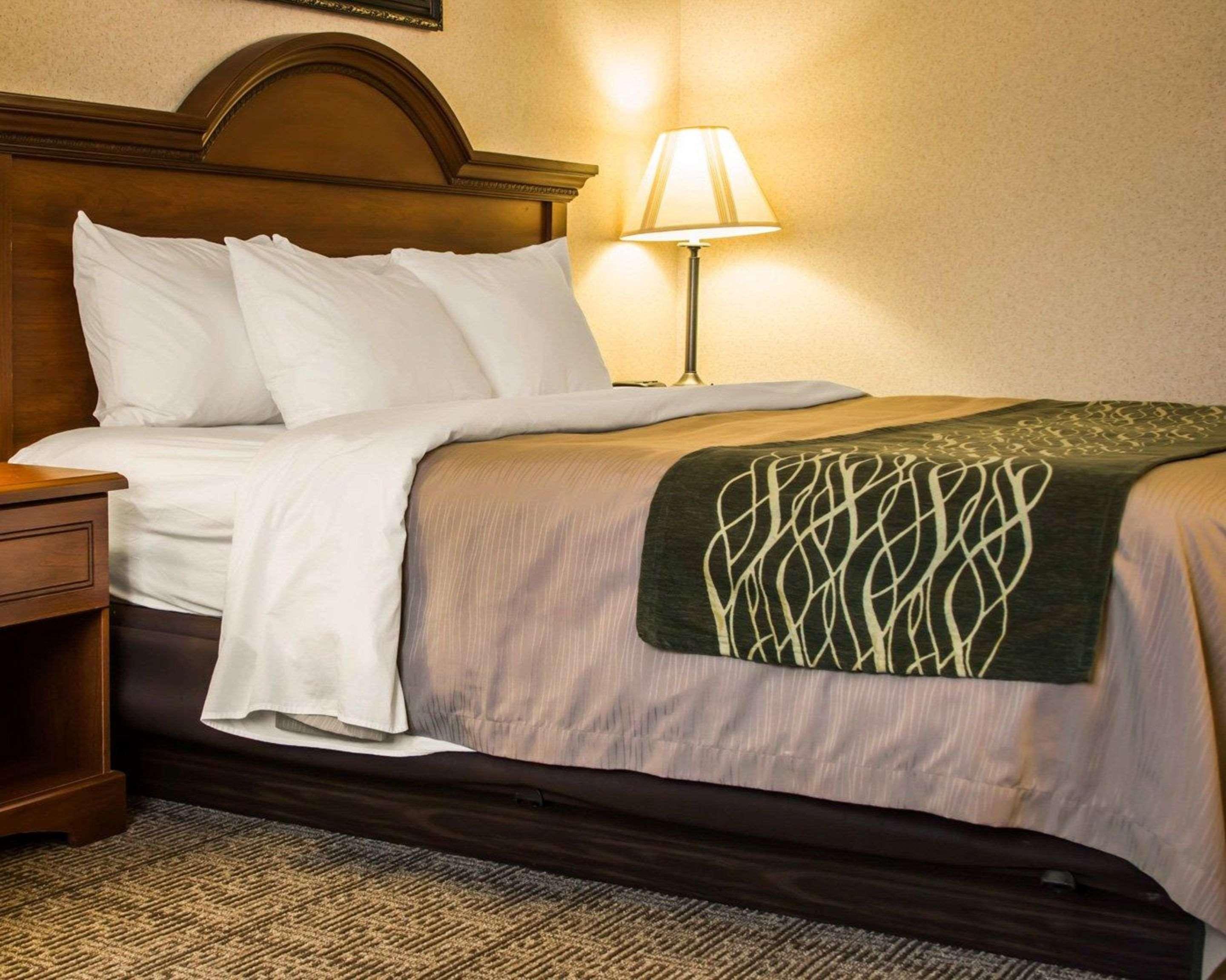 Comfort Inn & Suites Dimondale - Lansing Bagian luar foto